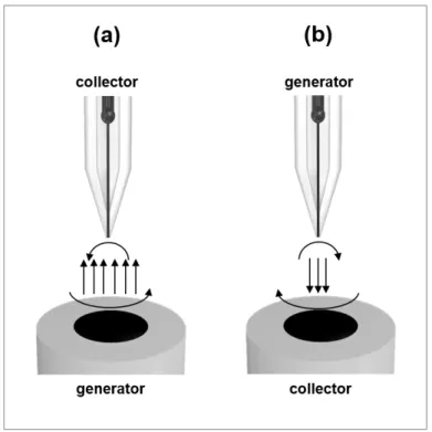 Figure  2.10:  Schematic  representation  of  the  substrate  generation/tip  collection  mode  (a)  and  the  tip  generation/substrate collection mode (b) adapted from [34] 