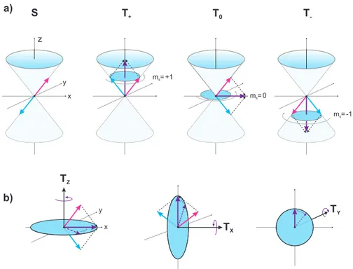 Abbildung 3.4: a) Vektormodelldarstellung der Hochfeld-Spinzustände. Die beiden Elektronen werden als roter und blauer Pfeil dargestellt, welche um die z-Achse rotieren