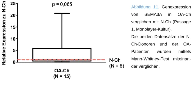 Abbildung  11 .  Genexpression  von  SEMA3A  in  OA-Ch  verglichen  mit  N-Ch  (Passage  1, Monolayer-Kultur)