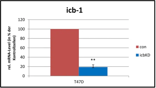 Abbildung 10 Graphische Darstellung des transienten icb-1 knockdowns bei T-47-D Zellen 