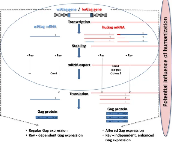 Figure C-12: Schematic illustration of the objective of this thesis: 