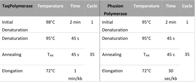 Table D-13: PCR program for reactions with the GoTaq® Green master mix (left) and Phusion HF Polymerase (right) 