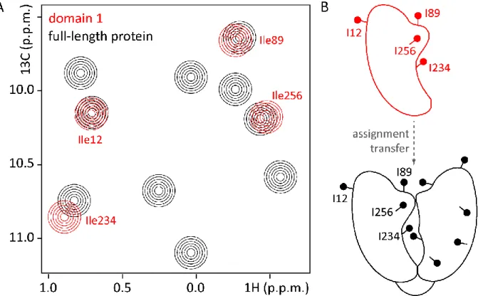 Figure  1.6:  The  divide-and-conquer  approach  is  used  to  assign  multi-domain  proteins  or  multi-subunit  complexes