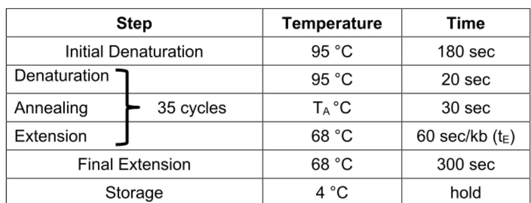 Table  2  -  Protocol  for  routine  PCR  using  defined  components  (i)  and  thermocycling  conditions  (ii)  for  DNA  fragment  amplification  by  Taq  DNA  Polymerase