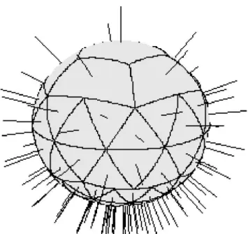 Abbildung  7.  Raumwinkelsegmente  (Kegel)  und  Achsen  für  die  Collapsed-Cone- Collapsed-Cone-Näherung