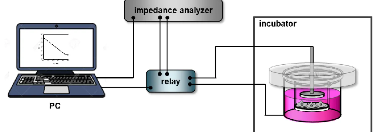 Fig. 4.11: Schematic of the experimental setup used for impedance studies performed in this thesis.