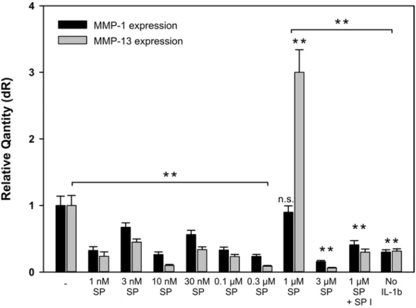 Figure 4: Quantitative real-time PCR of chondrocytes´ MMP-1 and MMP-13 mRNA  expression upon stimulation with different substance P concentrations within 24 hours