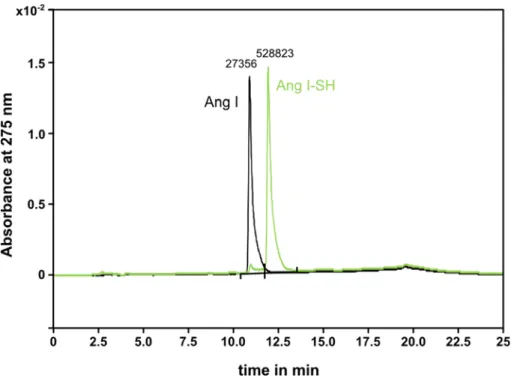 Figure 4: Gradient RP-HPLC of angiotensin I after 24 hours thiolation and acidic dialysis