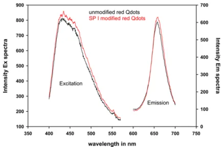 Figure 13: Excitation and emission spectra of red QSA-665 QDs before and after spantide I  coupling