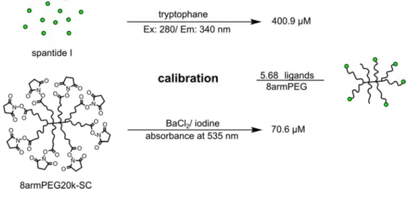Figure 4: Peptide to PEG ratios were determined in two separate quantification steps. The  ratios represent the ligand coupling quality