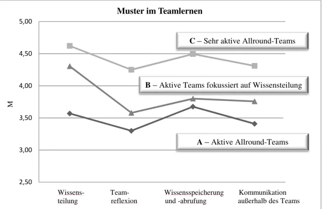 Abbildung 7. Muster im Teamlernen pro Cluster 