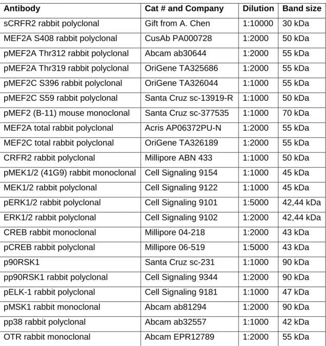 Table 4. List of antibodies used in western blot and dot blot with according dilutions and approximate  band size