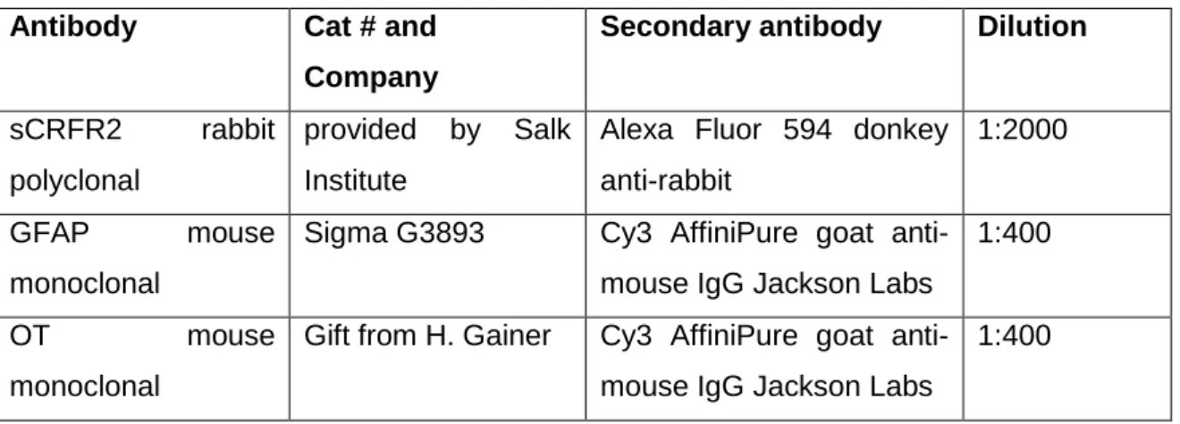 Table  5.  List  of  antibodies  used  in  immunocytochemistry  with  according  secondary  antibody  and  dilution used