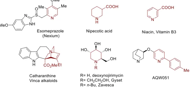 Figure 3. Alkaloids, azasugars and drug candidates based on pyridine moiety. 