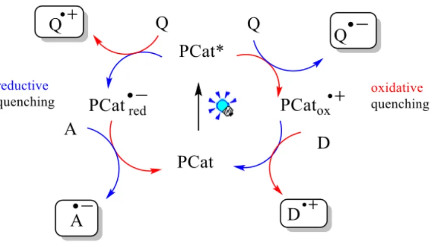 Figure 6. Photoredox catalysis including reductive or oxidative pathways. 