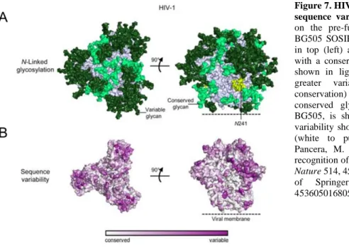 Figure 7. HIV-1 envelope glycan shield and  sequence  variability.  (A)  N-linked  glycans  on  the  pre-fusion  closed  Env  strucure  of  BG505  SOSIP.664  (PDB  ID:  4TVP),  shown  in  top  (left)  and  side  view  (right)