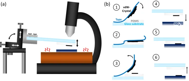 Figure 3.1: (a) Transfer Setup. A microscope glass slide with an attached PDMS film holding the sample flake is clamped into a three axis micrometer stage with adjustable tilt