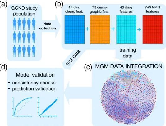 graphic feat. 46 drug features 743 NMRfeatures test data Model validation training data MGM DATA INTEGRATION consistency checks prediction validation(a) (b) (c)(d)