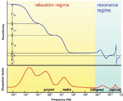 Figure 1. Types of polarization versus frequency in polymers. P e : electronic polarization; P at : atomic  polarization; P dip : (dipolar) orientational polarization; P ion : ionic polarization and P int : interfacial  polarization