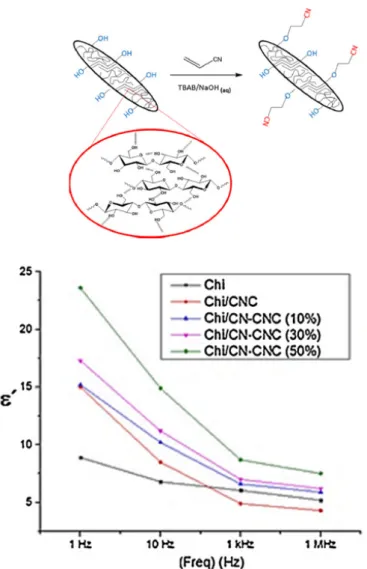 Figure 6. ε’ values at different frequencies for chitosan, the nanocomposite with unmodified CNCs  and those with different amounts of cyanoethylation of cellulose nanocrystals (CN-CNC)