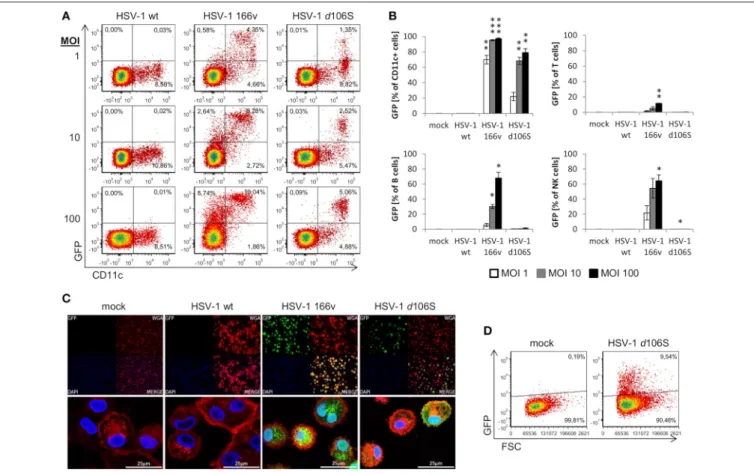 FIGURE 6 | Expression of GFP in human PBMC and macrophages after infection with HSV-1 d106S