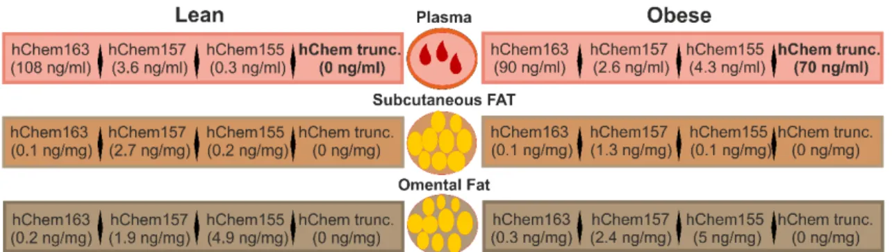 Figure 3. Chemerin isoform distribution in human obesity. The different chemerin isoforms identified  in human plasma, subcutaneous and omental adipose tissues are shown