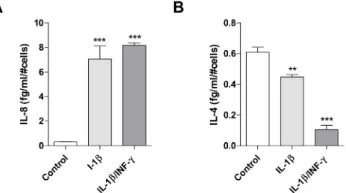 Figure 3. Effects of inflammatory stimuli on release of IL-8 and IL-4 from C20 cells. The pro-inflammatory IL-8 (A) and anti-inflammatory IL-4 levels (B) were evaluated in conditioned medium derived by C20 cells treated with IL-1β (20 ng/mL) or IL1-β/INF-γ