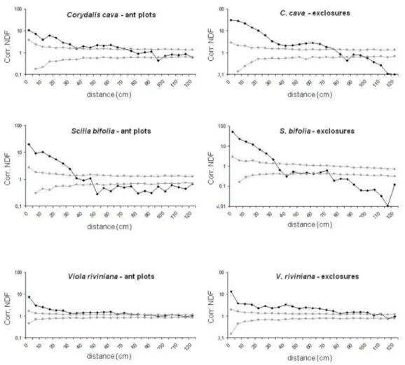 Figure 4. Corrected neighborhood density function (NDF) of Corydalis cava, Scilla bifolia, and Viola riviniana in ant plots and in exclosures