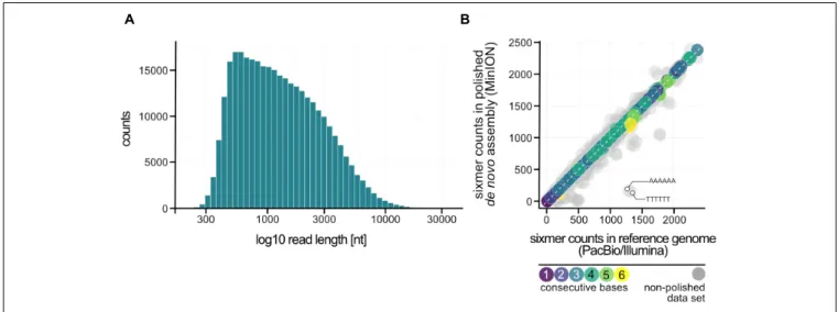 FIGURE 3 | Nanopore sequencing of P. furiosus. (A) Fragmentation of the DNA due to the DNA purification protocol used can be ascertained from the read length distribution after sequencing (median: 1,160 bp)