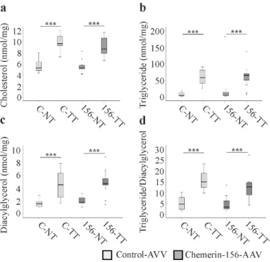 Figure 6. Lipids in hepatic non-tumorous (NT) and tumor tissue (TT) of control-AAV (C) and  chemerin-156-AAV (156) infected mice