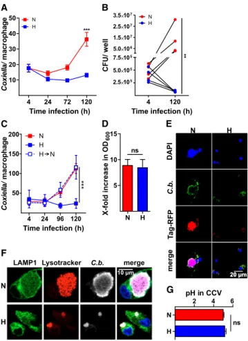 Figure 1. Hypoxia Impairs C. burnetii Replication in Macrophages (A) Macrophages were infected with NMII for the times indicated under  nor-moxia (N) or hypoxia (H)