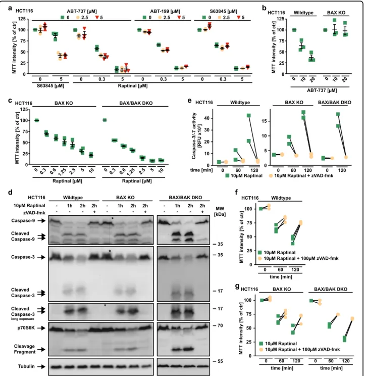Fig. 2 BAX and BAK are dispensable for Raptinal-induced caspase activation. a HCT116 cells were challenged for 18 h with the indicated concentrations of Raptinal and S63845 in the presence and absence of the indicated concentrations of ABT-199 (targeting B