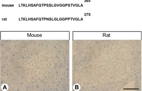 Figure 11. Carboxy-terminal sequence of human, mouse and rat GPR68 and negative GPR68-immunostaining in mouse and rat pancreatic islets
