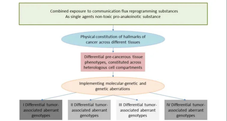 FIGURE 4 | Reverse anakoinosis, i.e., induction of oncogenic events via concerted activity of as single substances non-oncogenic agents.