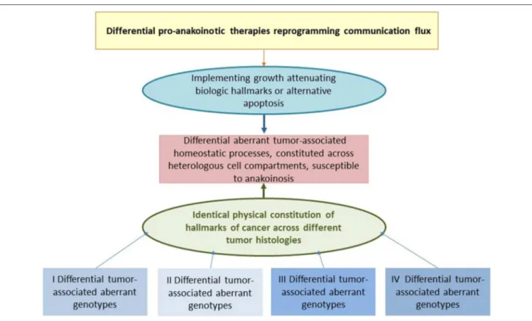 FIGURE 2 | Reprogramming hallmarks of cancer via dysregulated homeostatic pathways and non-oncogene addictions