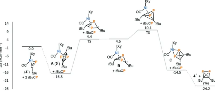 Figure 5. Reaction profile calculated with DFT at the TPSS-D3BJ/def2-TZVP level for the dimerization of tBu-C/P catalyzed by [(IXy)Ni(PCtBu)]
