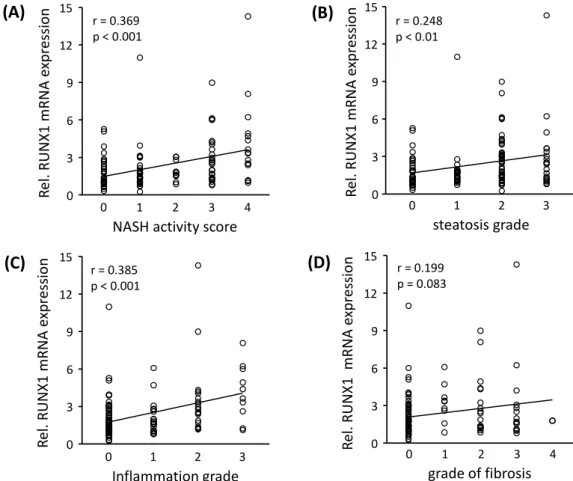 Figure 1. Correlation between RUNX1 mRNA expression and histopathological parameters. 