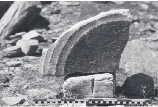 Figure 3. Çatallar Tepe. Torus capital, fragmented (Inv. PA-S17, photo: H. Lohmann).