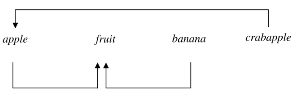 Abbildung 3-4: Darstellung einer möglichen lexikalischen Kette 