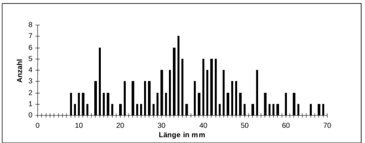 Abb. 160  Andernach-Martinsberg 3. – Längenverteilung der Stichel. 