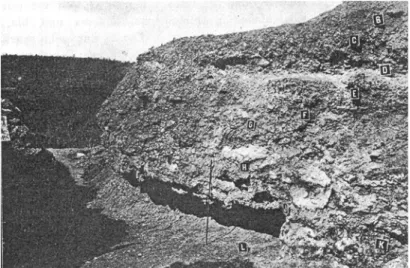 Abb. 2.5 Blick auf die Stratigraphie von La Micoque   (W IEGERS  et al., 1913)