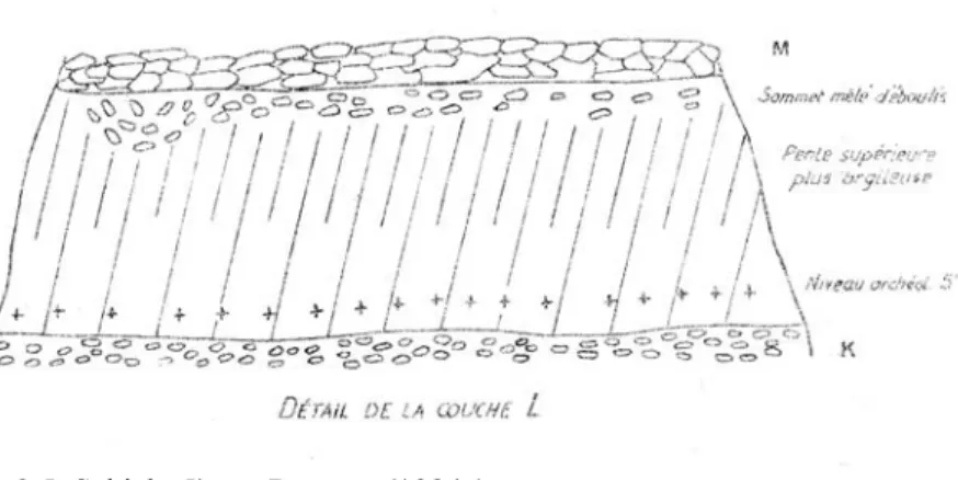 Abb. 3.5. Schicht 5' von B ORDES  (1984a) 
