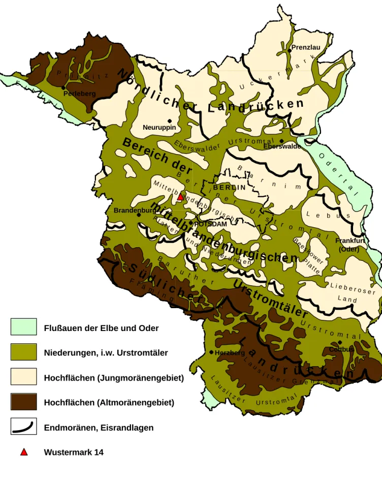 Abb. 2: Geomorphologische Gliederung Brandenburgs. 