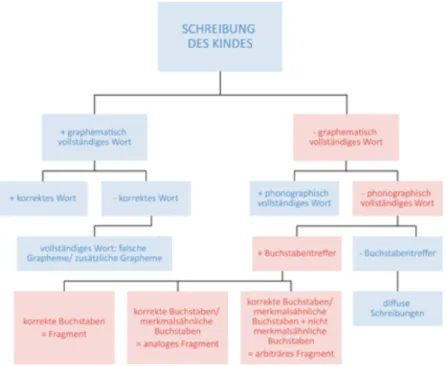 Abbildung 6: Baumdiagramm Basiskategorisierung