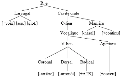 Figure 15 : Représentation géométrique de [e] 