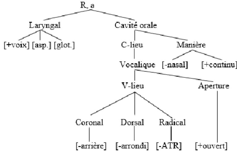 Figure 19 : Représentation géométrique de [a] 