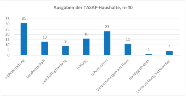 Abbildung 6: Übersicht über die Ausgaben der TASAF-Haushalte. Mehrfachnennung  war möglich
