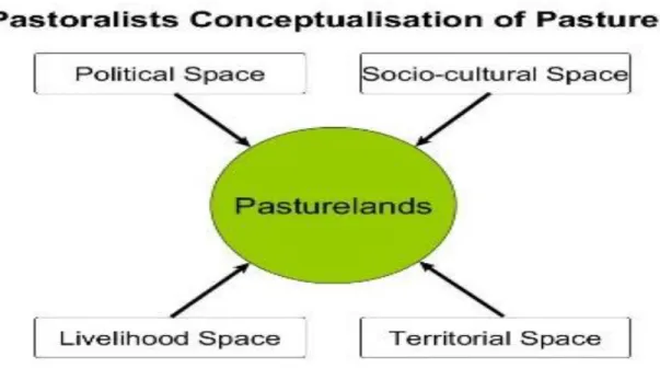Figure 5: Pastoralists Conceptualisation of Pastures 