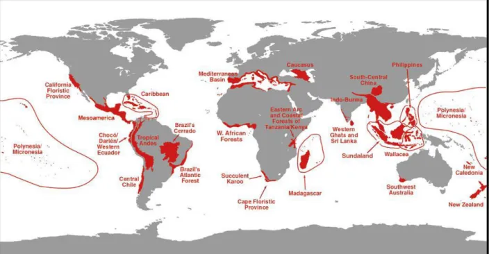 Figure 6: Global biodiversity hotspots (Source: Myers et al. 2000:853) 