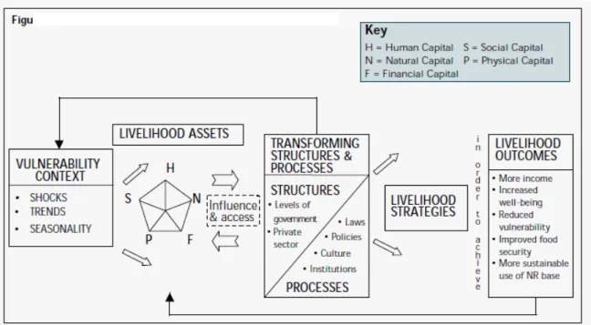 Figure 1: DFID SL Framework (Ashley &amp; Carney 1999:47) 